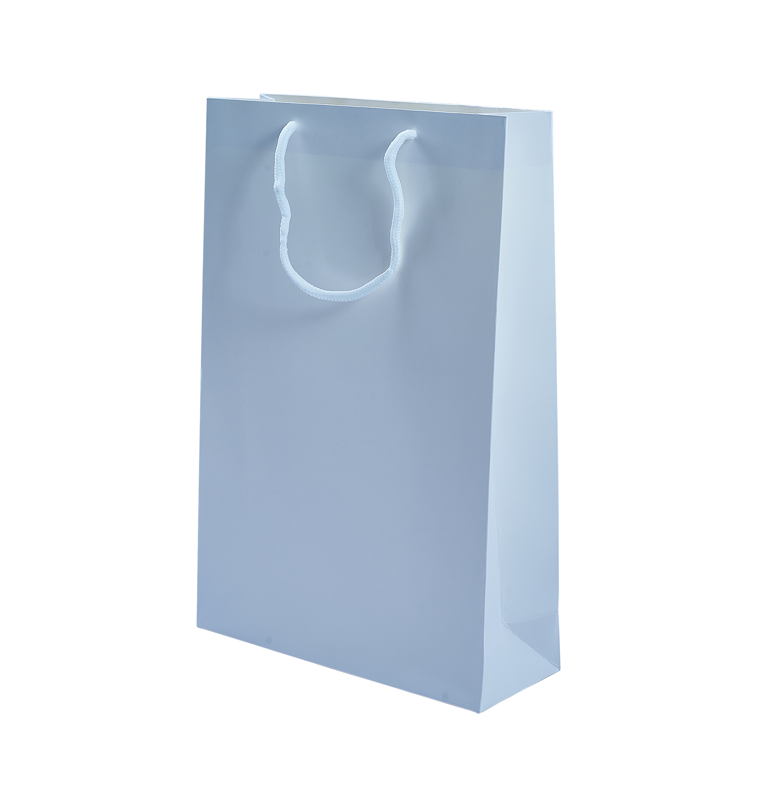 Gift Bag